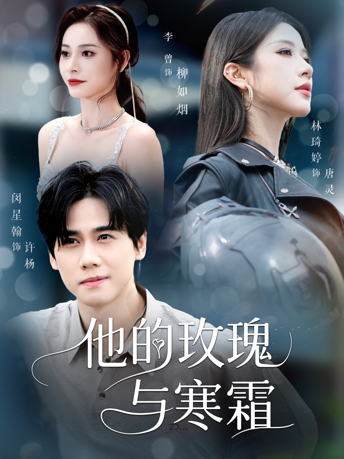 他的玫瑰与寒霜
