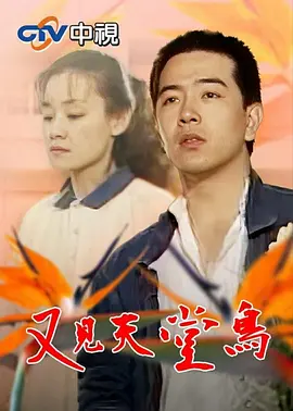 又见天堂鸟