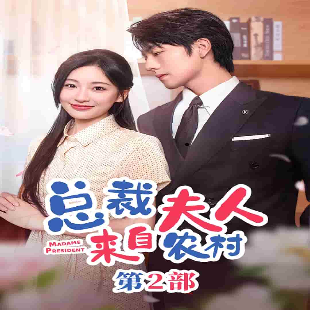 总裁夫人来自农村第二部